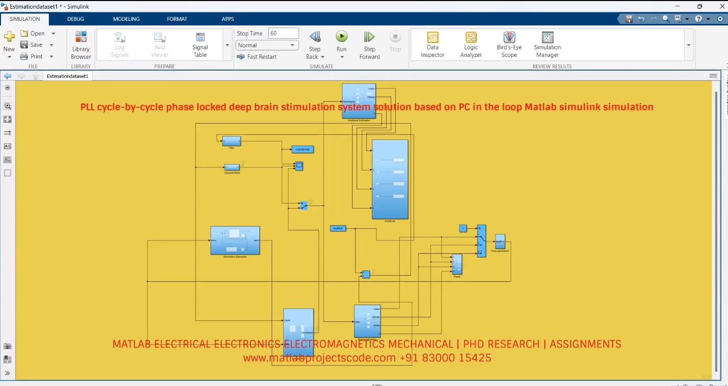 PLL cycle-by-cycle phase locked deep brain stimulation system solution based on PC in the loop Matlab simulink simulation